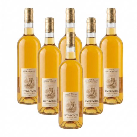 Hydromel Manoir des Abeilles lot de 6x75cl