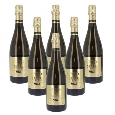 Cidre cuvée colette Dupont 6x75cl