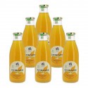 Jus de pomme bio Grandval 6x1L