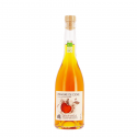 Vinaigre de Cidre Manoir de Grandouet 50cl