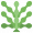 Spiruline : des micro-algues en poudre, en comprimé ou en brindille