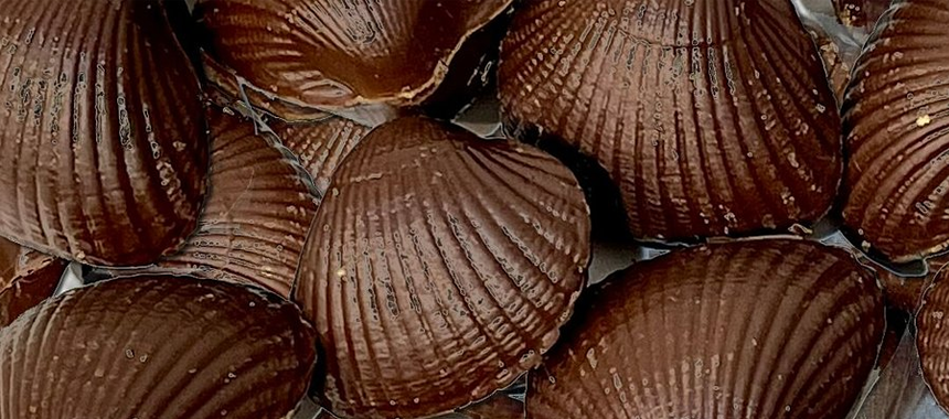 6 Coques au chocolat noir fourré praliné noisettes 60g Les Coques de Cabourg