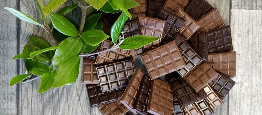 Mini tablettes de chocolats