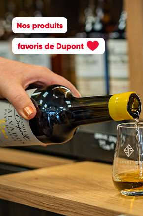 Nos coups de coeur des produits Dupont